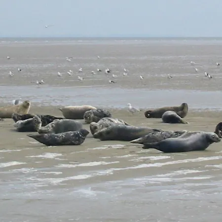 Wiringherlant-7 By Interhome *