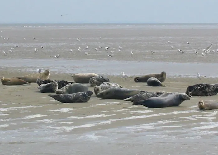 Wiringherlant-7 By Interhome *